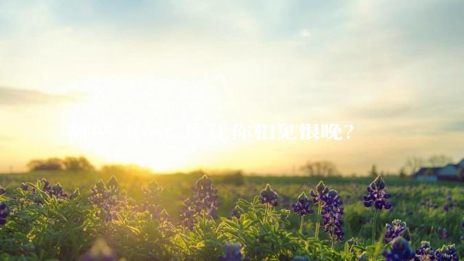 哪些 Rust 库让你相见恨晚？