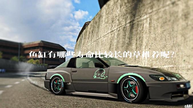 鱼缸有哪些寿命比较长的草推荐呢？